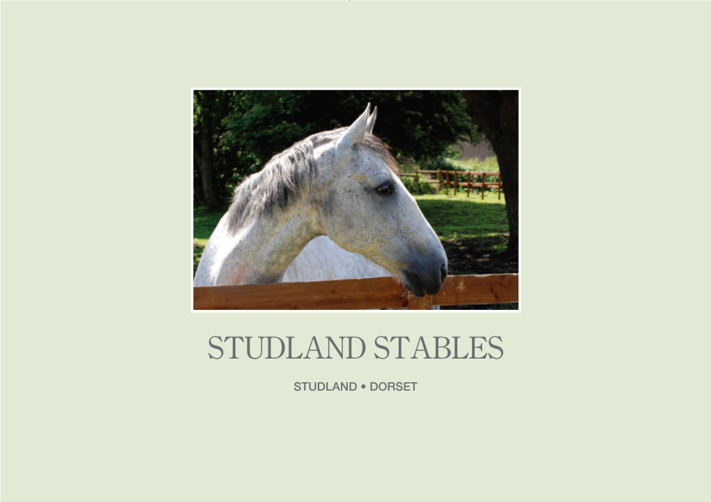 Studland Stables