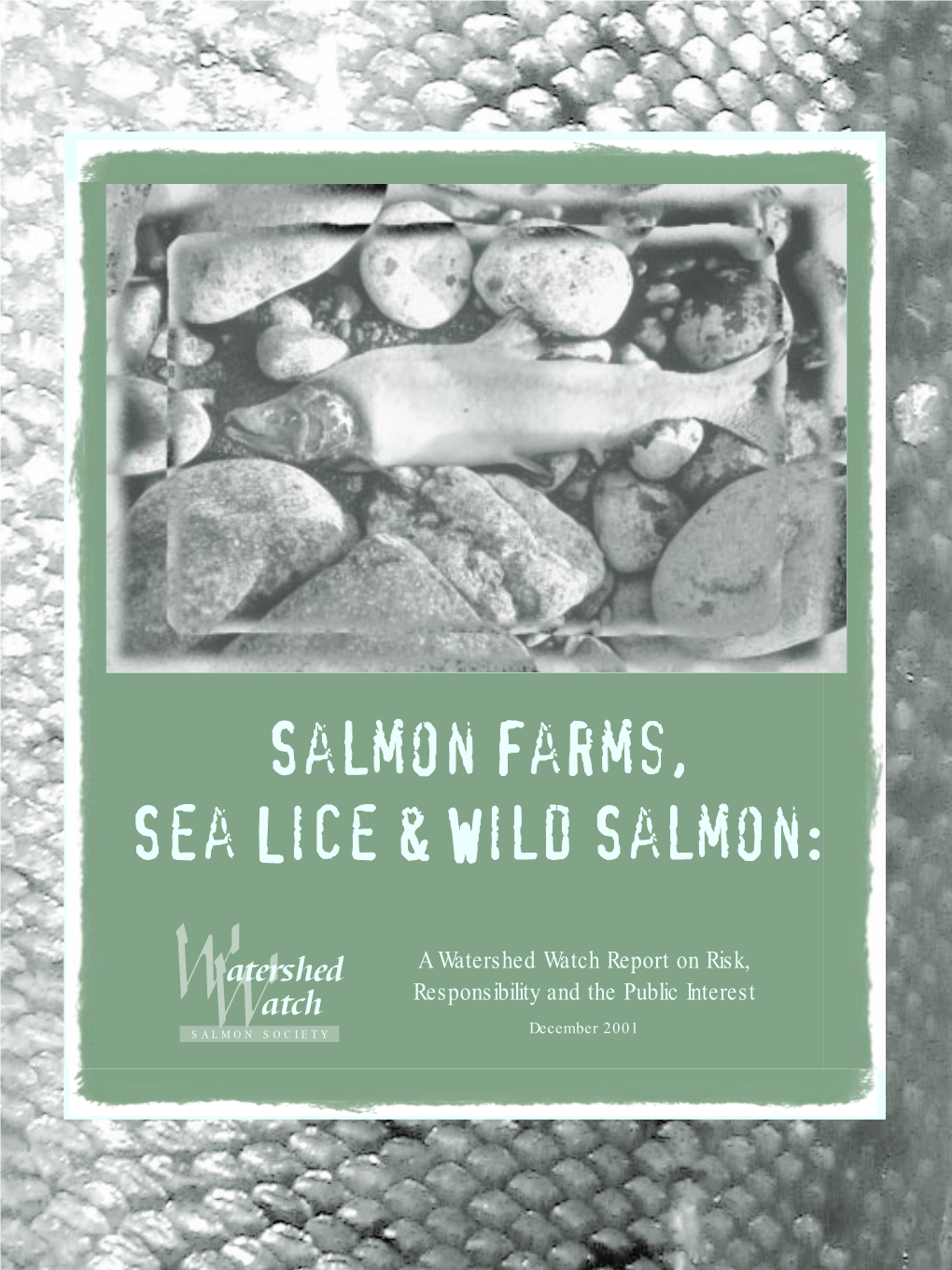 Salmon Farms, Sea Lice and Wild Salmon