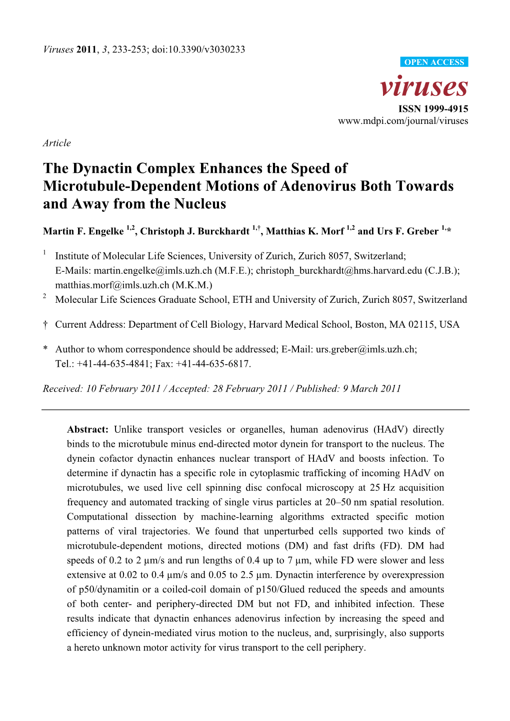 The Dynactin Complex Enhances the Speed of Microtubule-Dependent Motions of Adenovirus Both Towards and Away from the Nucleus