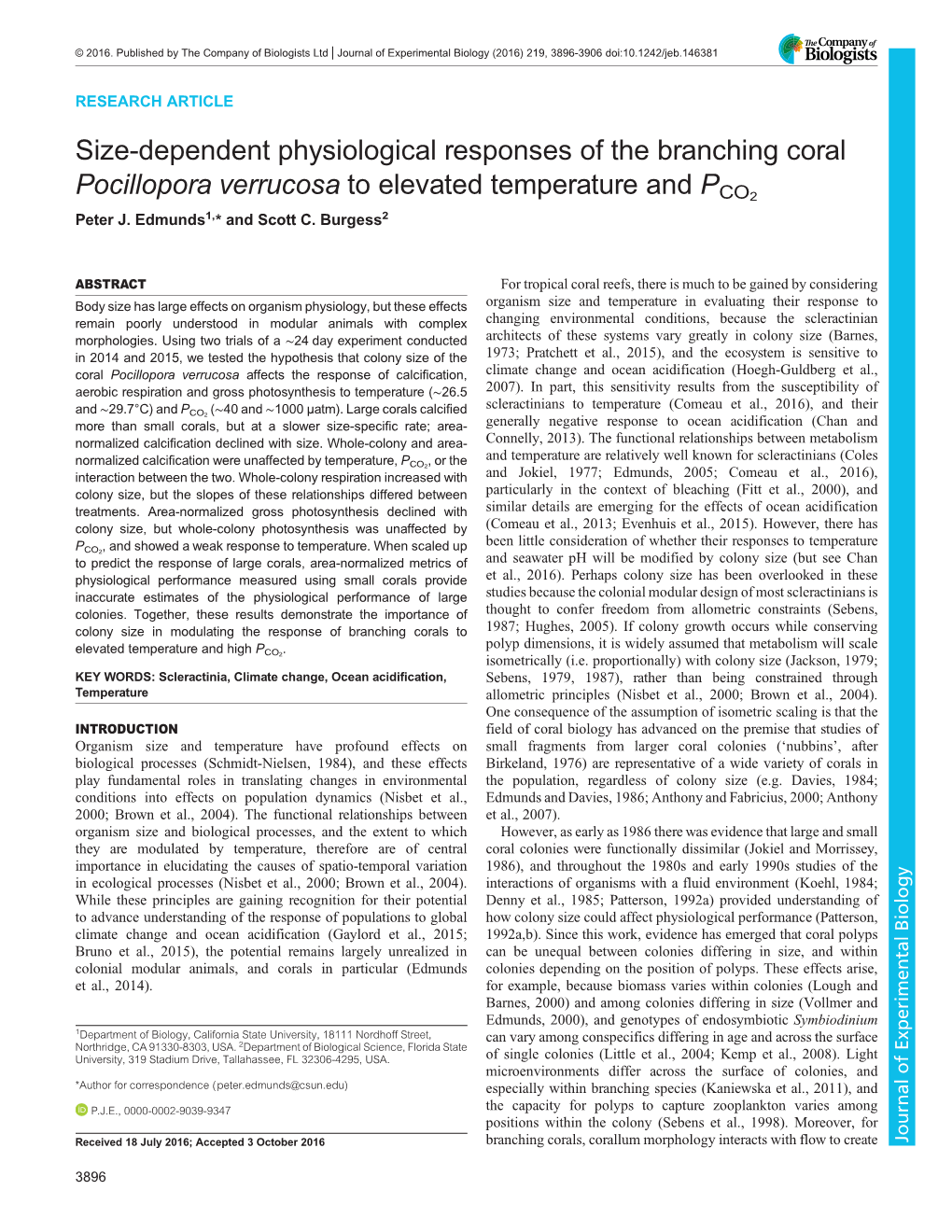 Size-Dependent Physiological Responses of the Branching Coral Pocillopora Verrucosa to Elevated Temperature and PCO2