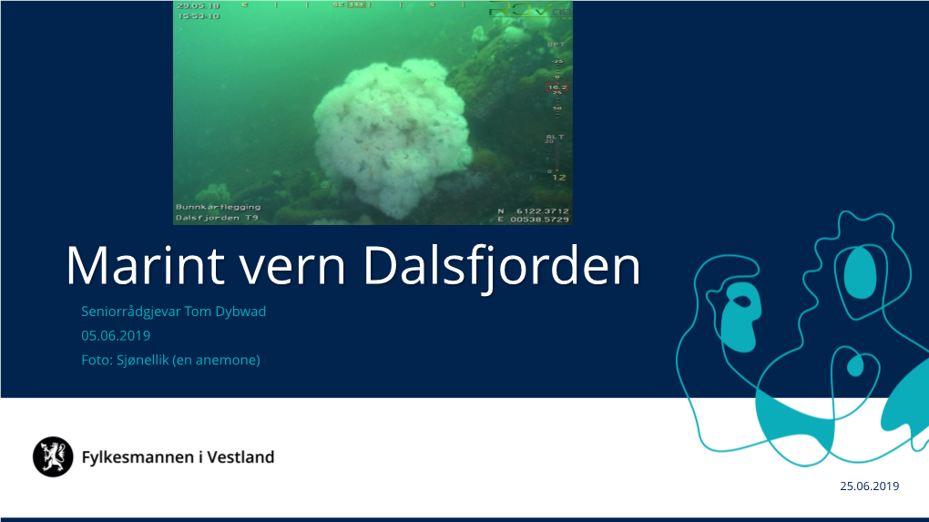 Marint Vern Dalsfjorden Seniorrådgjevar Tom Dybwad 05.06.2019 Foto: Sjønellik (En Anemone)