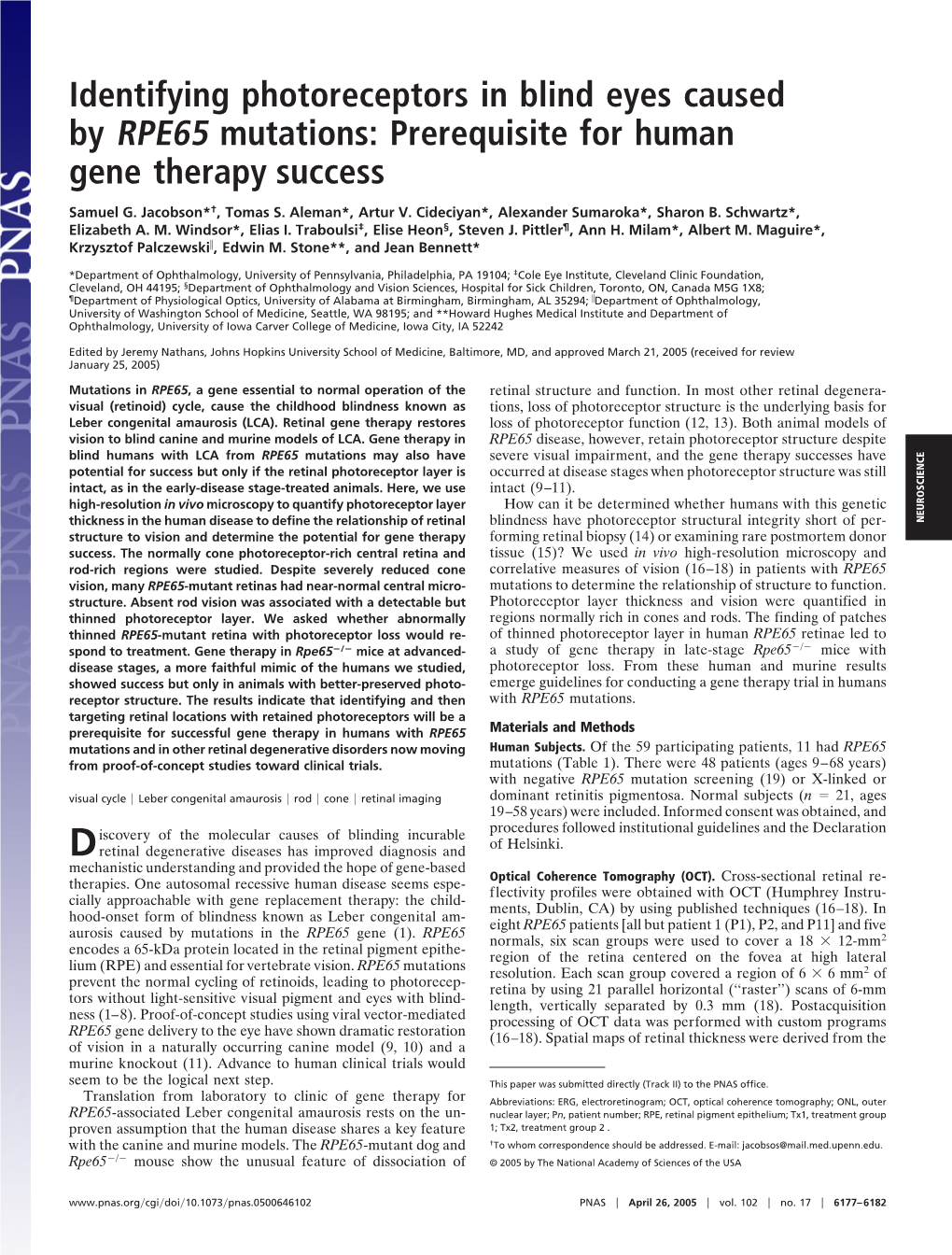 Identifying Photoreceptors in Blind Eyes Caused by RPE65 Mutations: Prerequisite for Human Gene Therapy Success