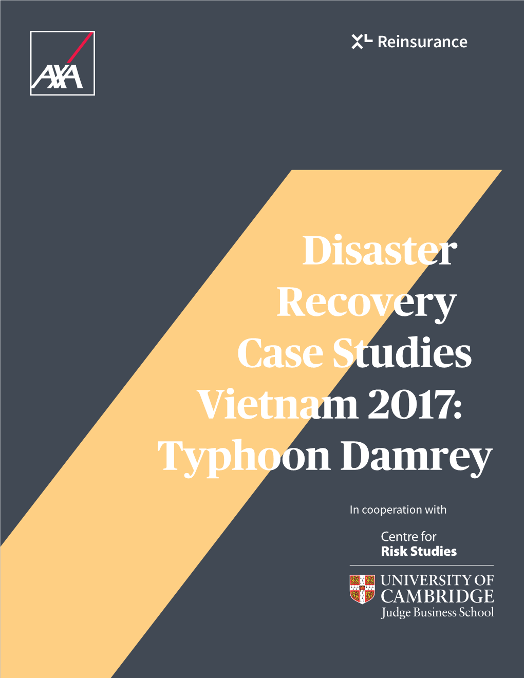 Typhoon Damrey