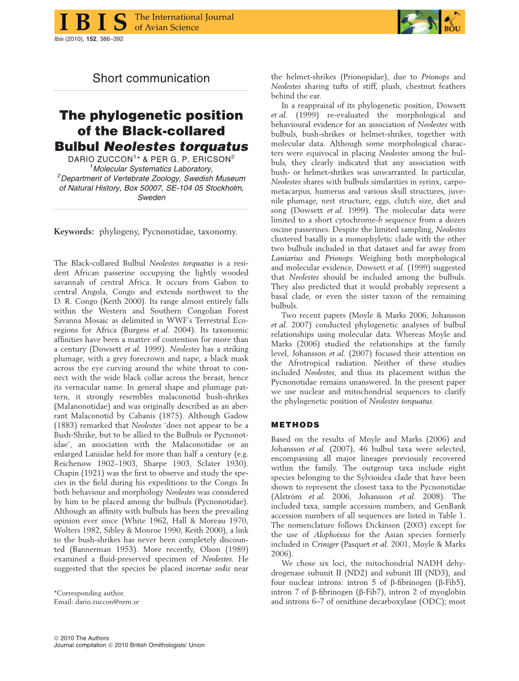 The Phylogenetic Position of the Black-Collared Bulbul Neolestes