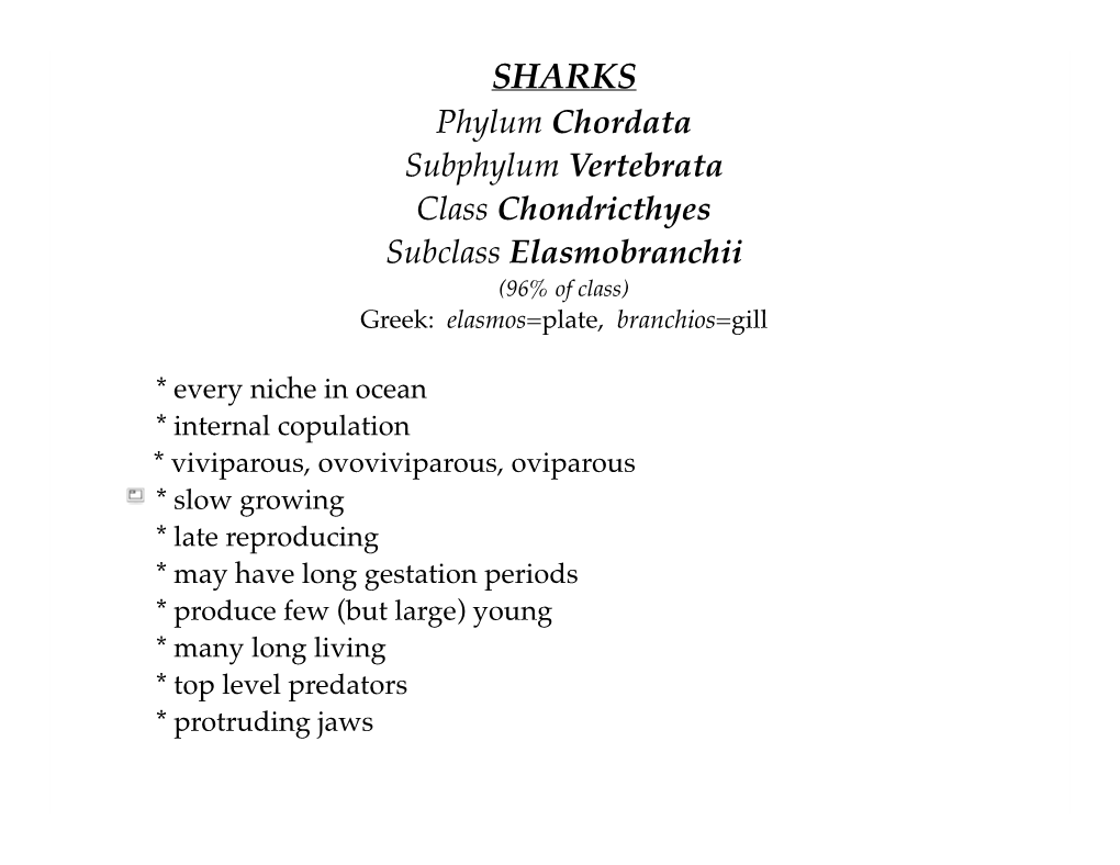 SHARKS Phylum Chordata Subphylum Vertebrata Class Chondricthyes Subclass Elasmobranchii (96% of Class) Greek: Elasmos=Plate, Branchios=Gill