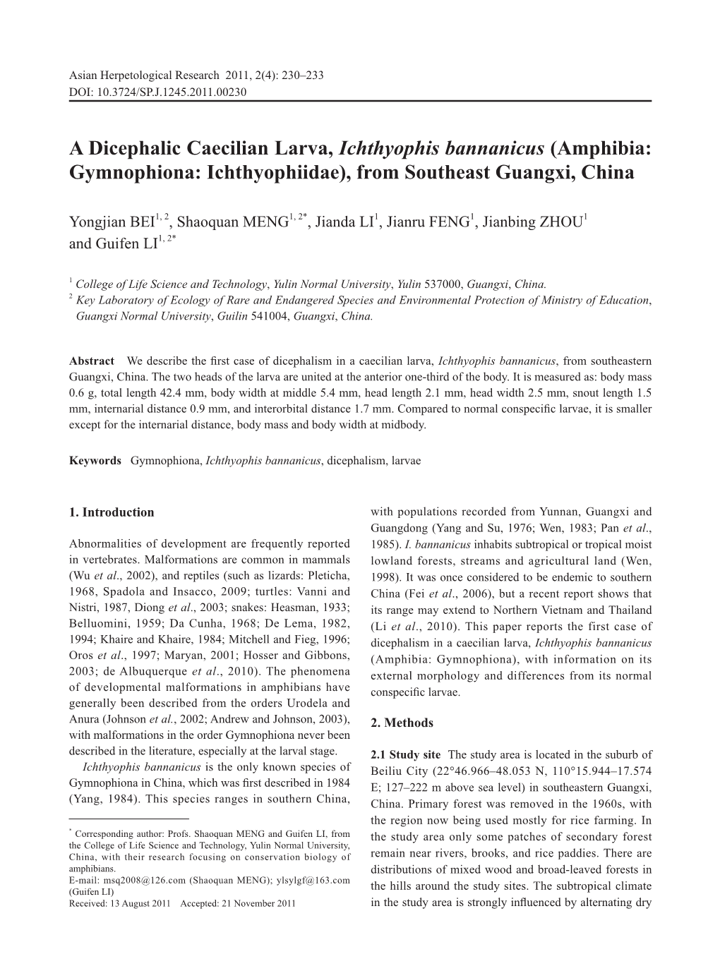 A Dicephalic Caecilian Larva, Ichthyophis Bannanicus (Amphibia: Gymnophiona: Ichthyophiidae), from Southeast Guangxi, China