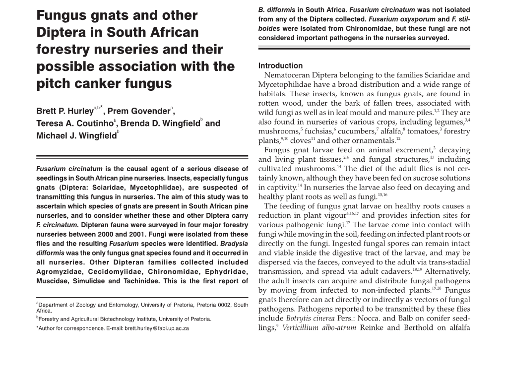 Fungus Gnats and Other Diptera in South African Forestry Nurseries and Their Possible Association with the Pitch Canker Fungus