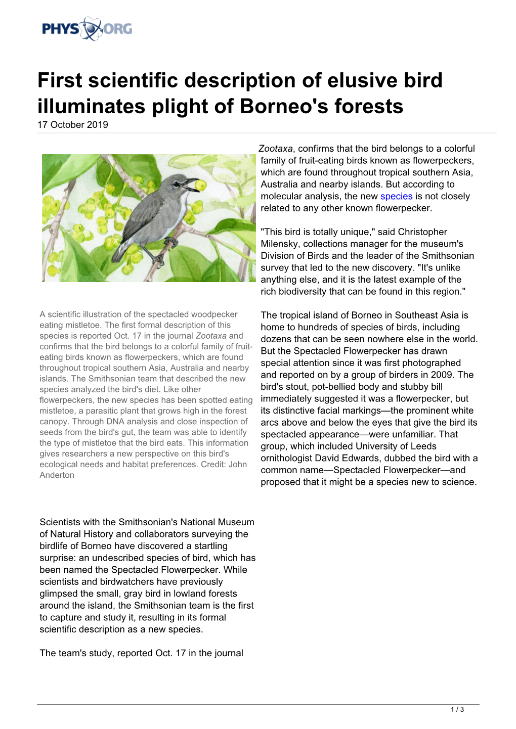 First Scientific Description of Elusive Bird Illuminates Plight of Borneo's Forests 17 October 2019