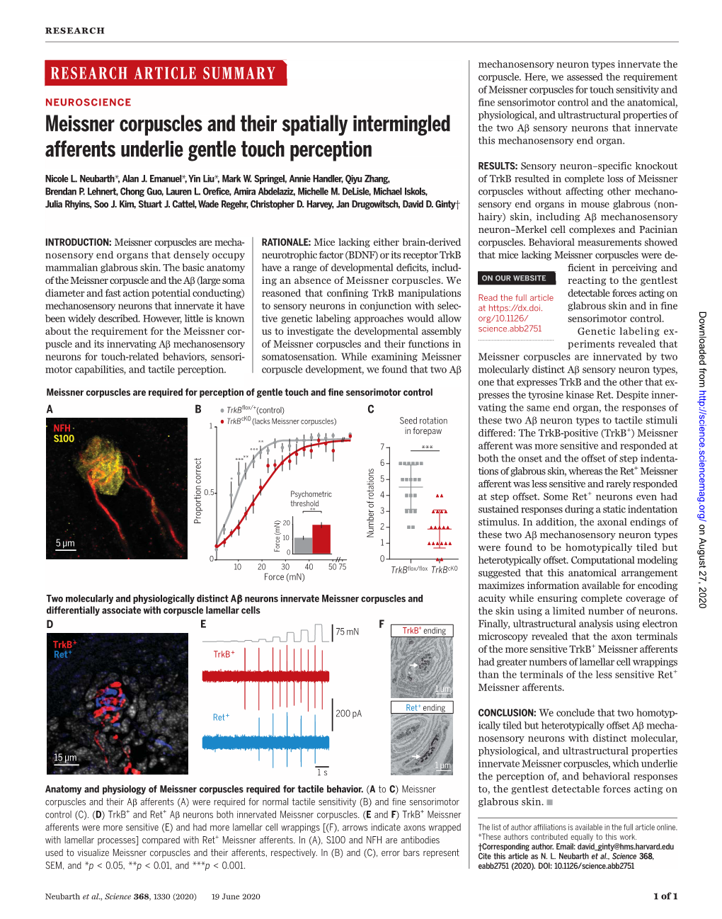 Meissner Corpuscles and Their Spatially Intermingled Afferents Underlie Gentle Touch Perception Nicole L