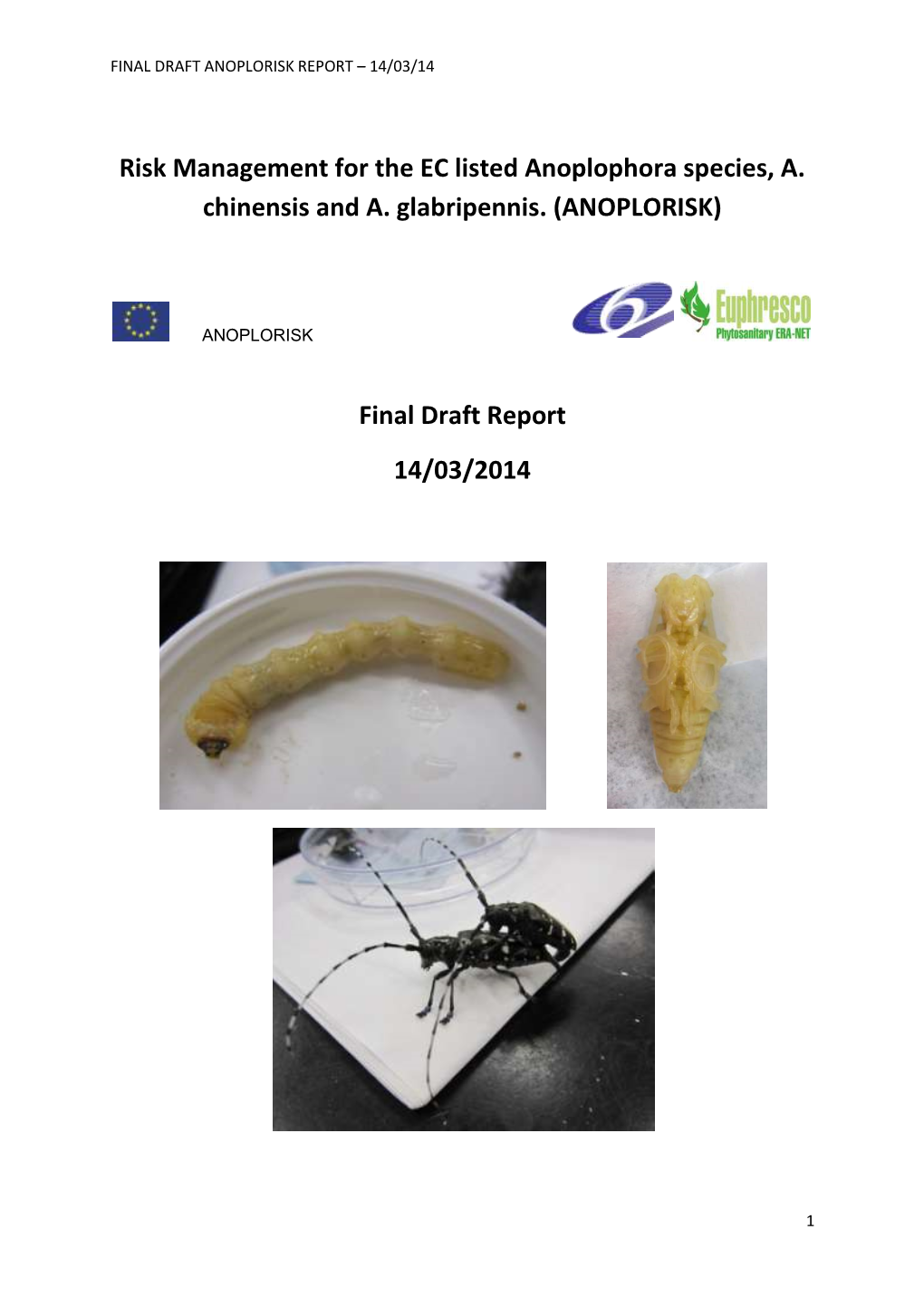 Risk Management for the EC Listed Anoplophora Species, A. Chinensis and A