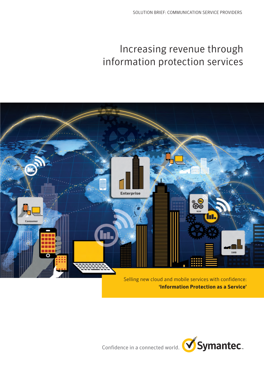 Increasing Revenue Through Information Protection Services