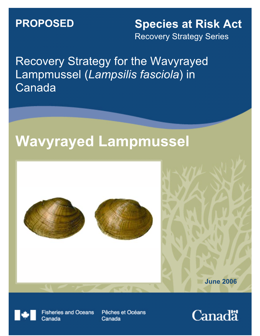 Proposed Recovery Strategy for the Wavyrayed Lampmussel (Lampsilis