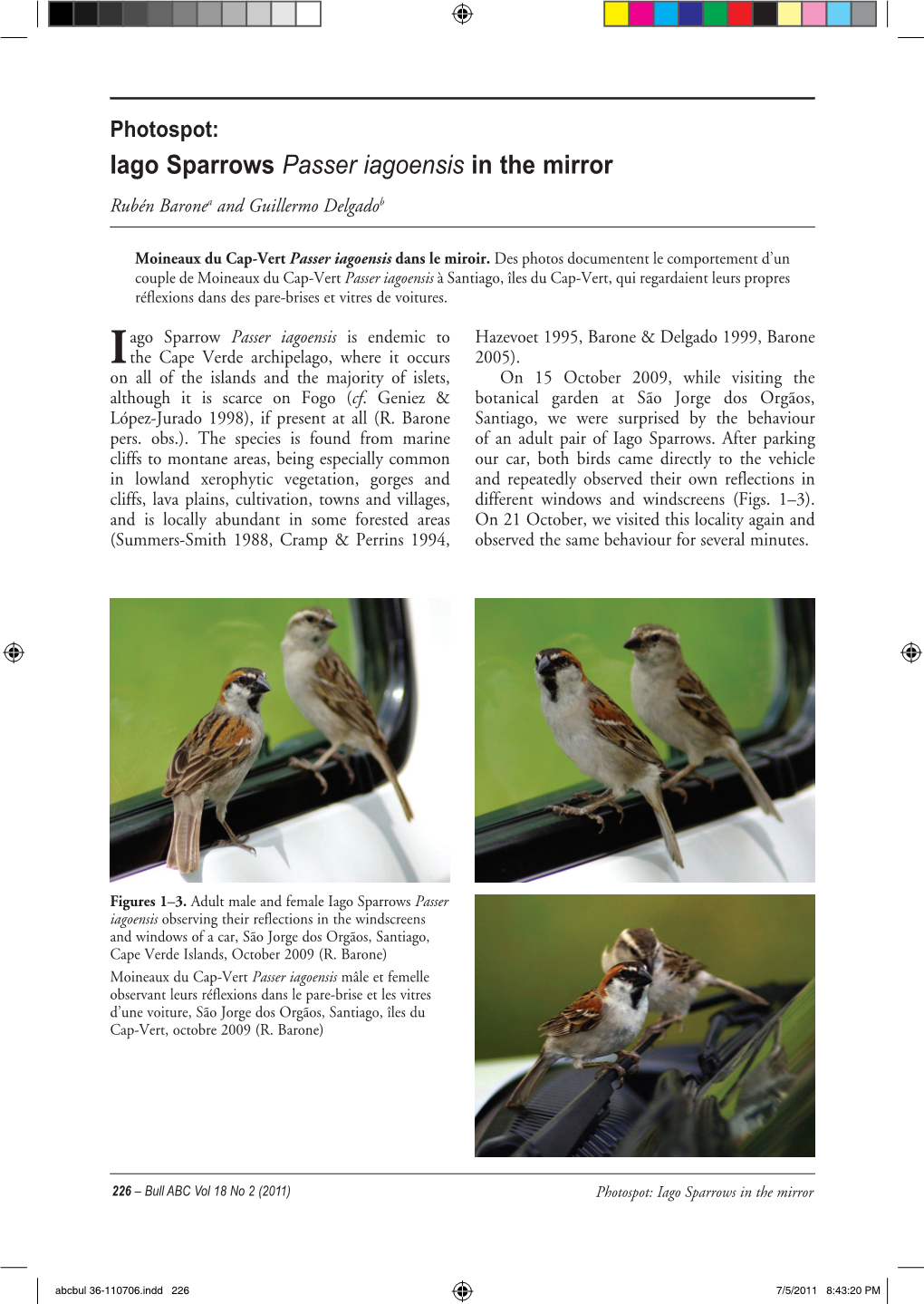 Iago Sparrows Passer Iagoensis in the Mirror Rubén Baronea and Guillermo Delgadob