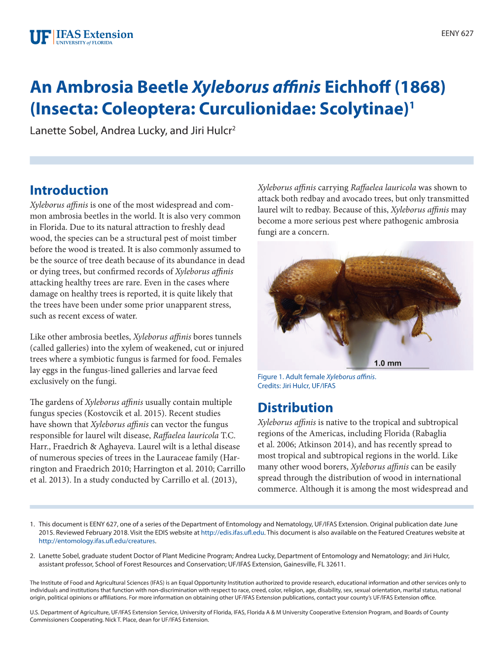 An Ambrosia Beetle Xyleborus Affinis Eichhoff (1868) (Insecta: Coleoptera: Curculionidae: Scolytinae)1 Lanette Sobel, Andrea Lucky, and Jiri Hulcr2