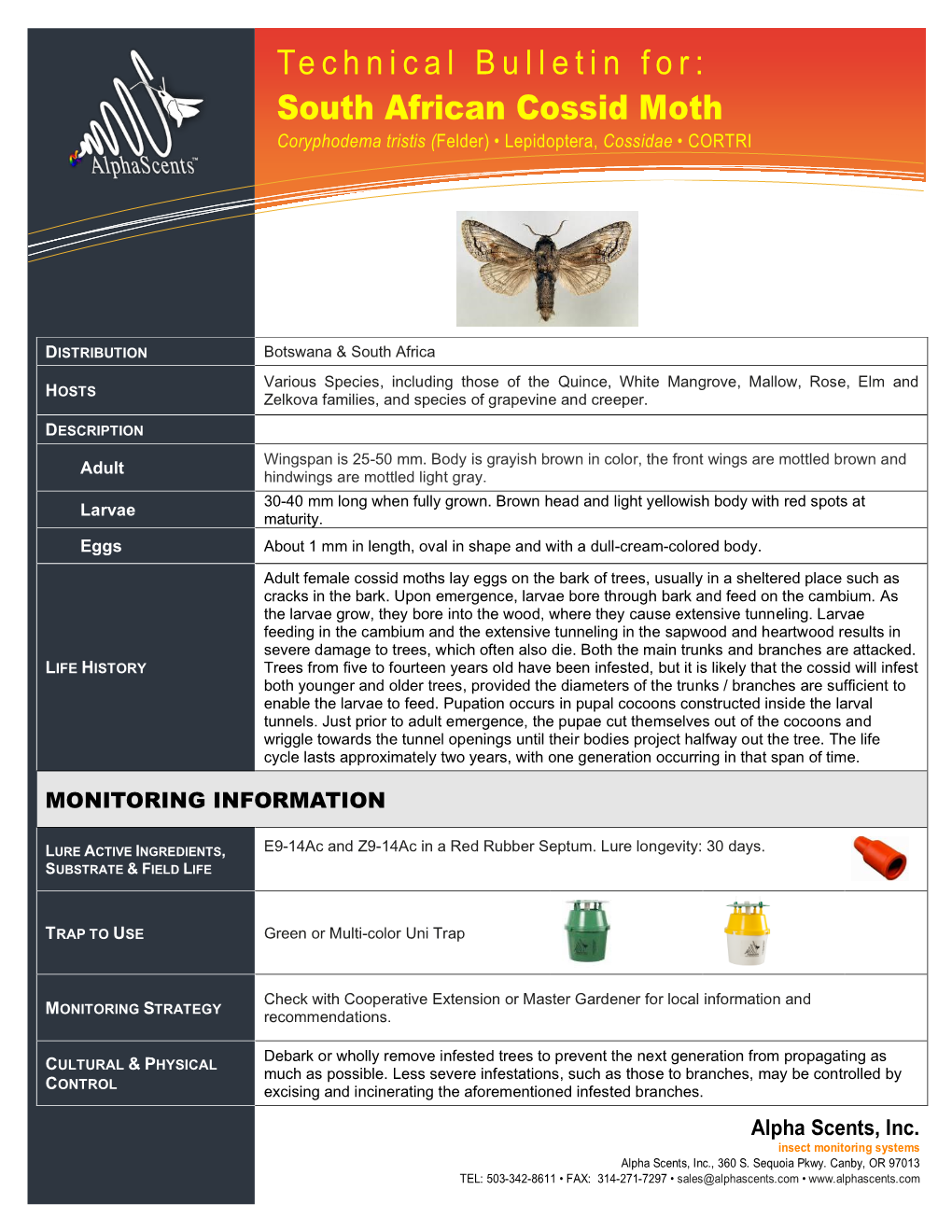 Technical Bulletin For: Information Technology Solutions South African Cossid Moth Coryphodema Tristis (Felder) • Lepidoptera, Cossidae • CORTRI