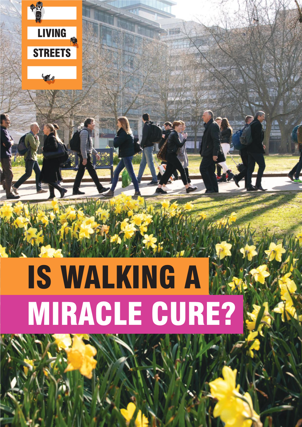 Download Is Walking a Miracle Cure