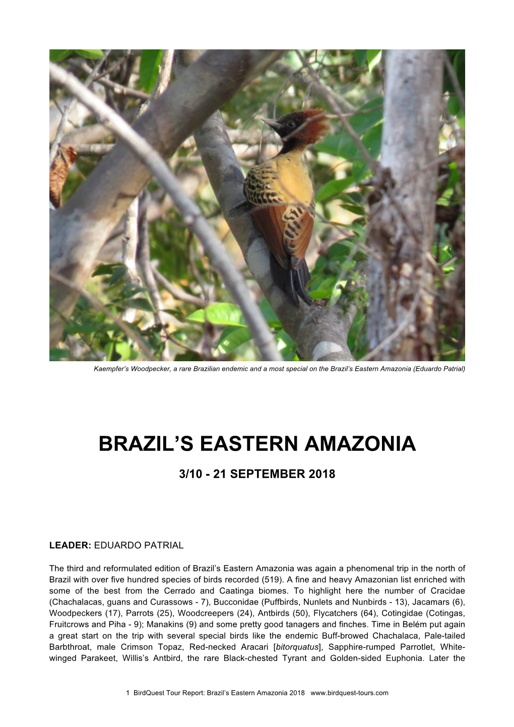 Brazil (Eastern Amazonia)