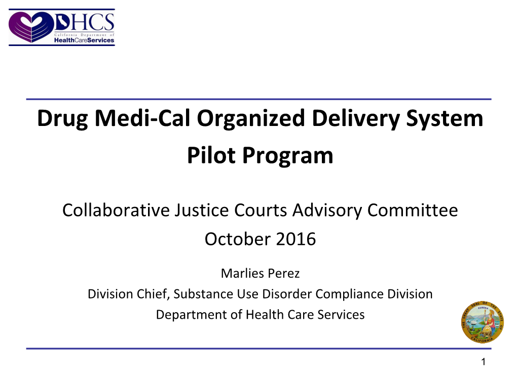 Drug Medi-Cal Organized Delivery System Pilot Program