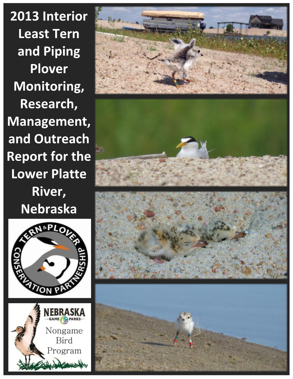 2013 Interior Least Tern and Piping Plover Monitoring, Research, Management, and Outreach Report for the Lower Platte River, Nebraska