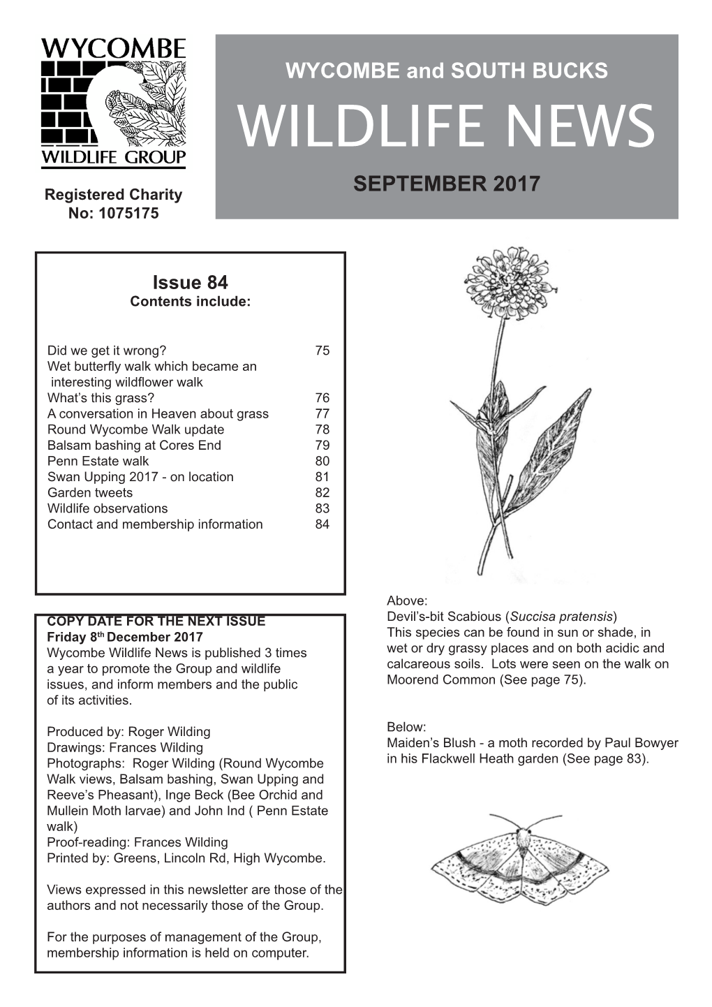 Newsletter 84 (September)