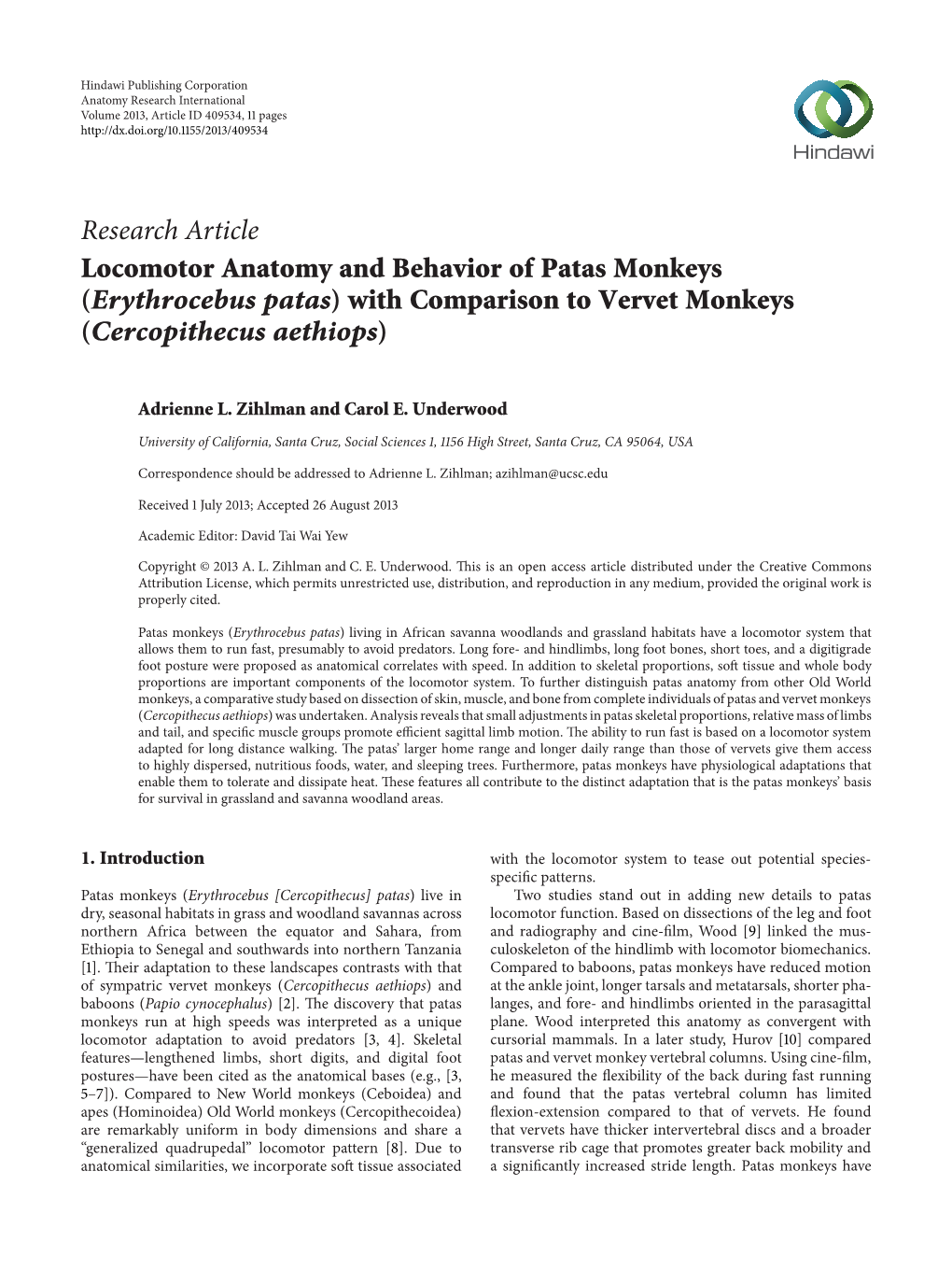 Locomotor Anatomy and Behavior of Patas Monkeys (Erythrocebus Patas) with Comparison to Vervet Monkeys (Cercopithecus Aethiops)