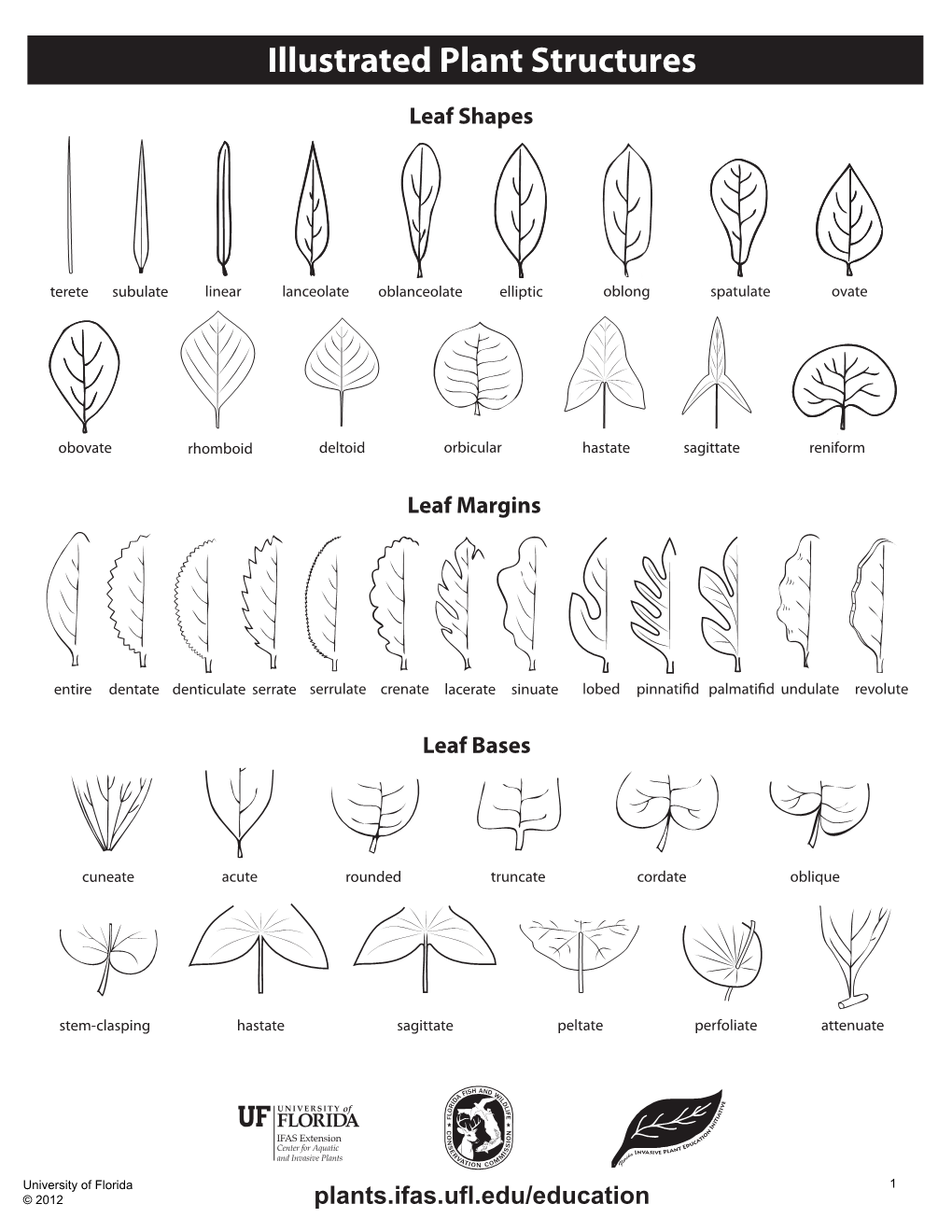 Illustrated Plant Structures