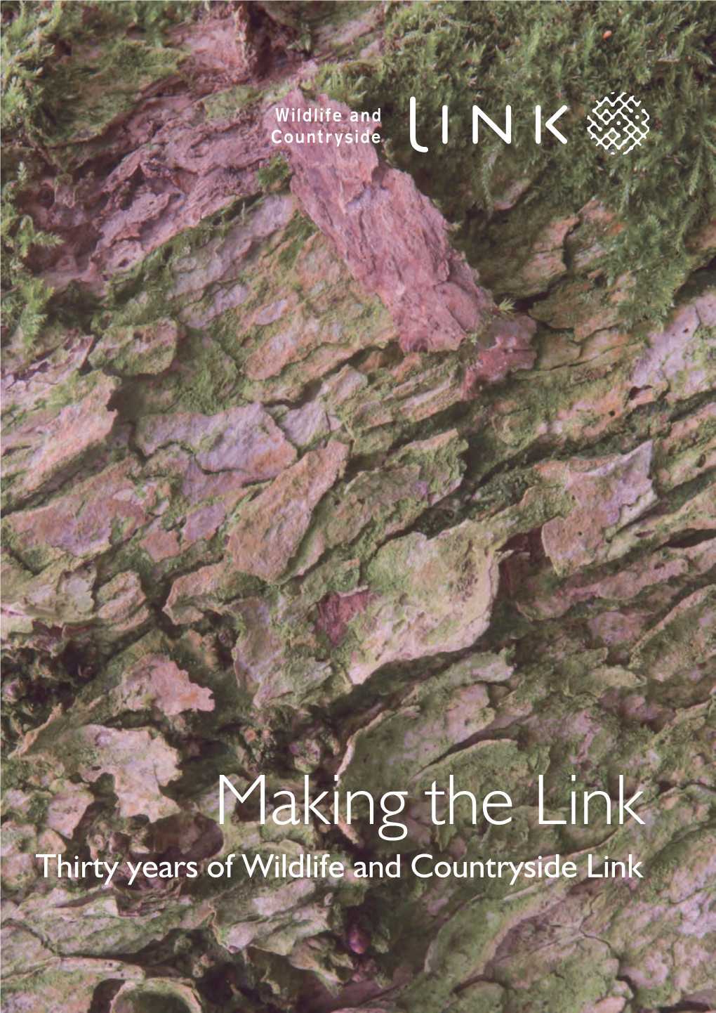 Making the Link