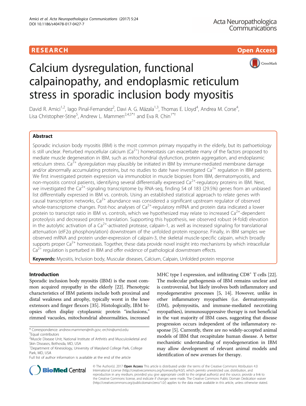 Calcium Dysregulation, Functional Calpainopathy, and Endoplasmic Reticulum Stress in Sporadic Inclusion Body Myositis David R