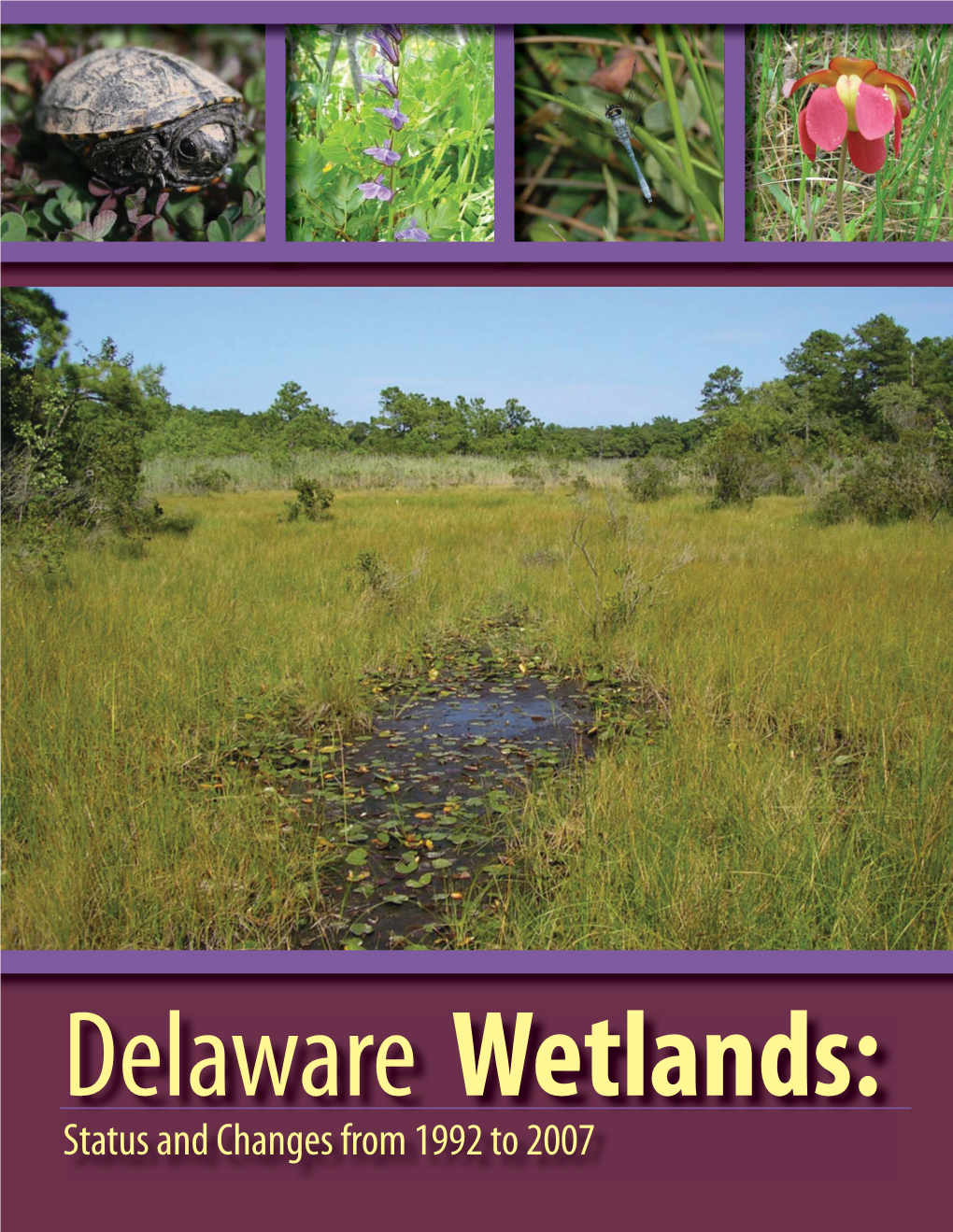 Delaware Wetlands: Status and Changes from 1992 to 2007