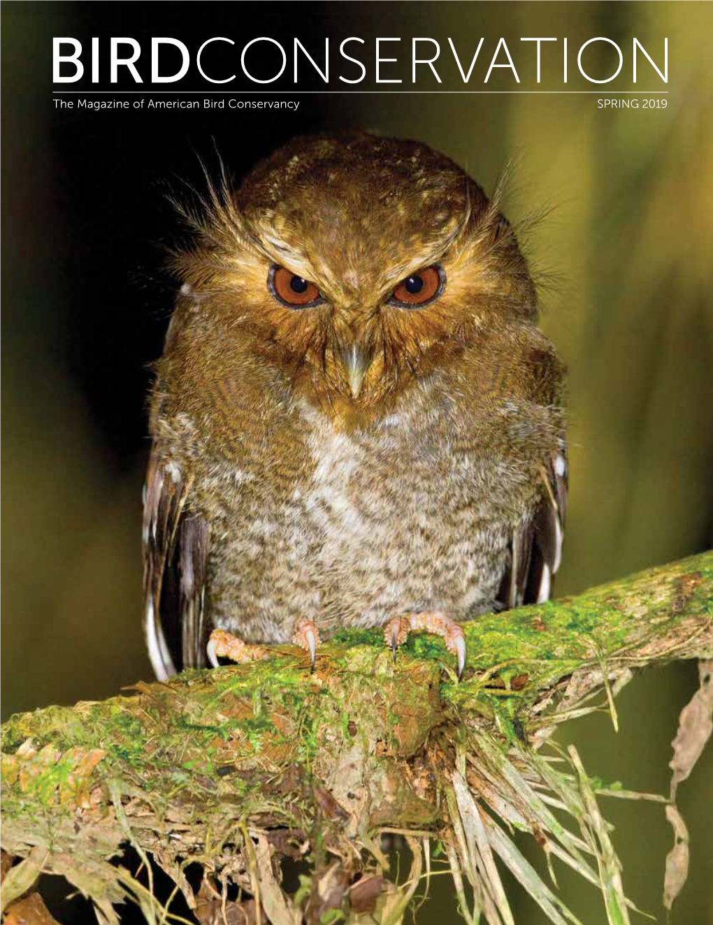 BIRDCONSERVATION the Magazine of American Bird Conservancy SPRING 2019 BIRD’S EYE VIEW