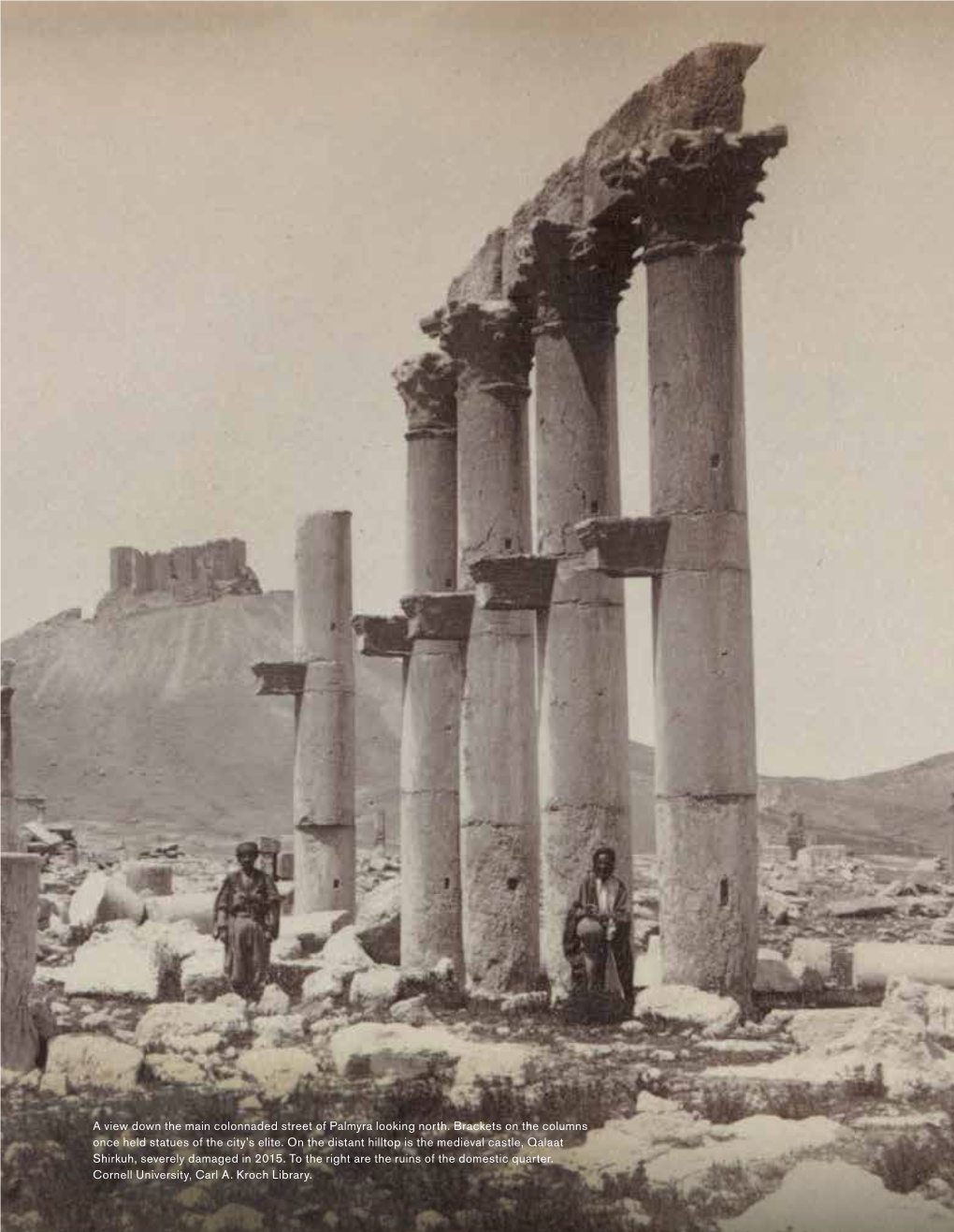 A View Down the Main Colonnaded Street of Palmyra Looking North