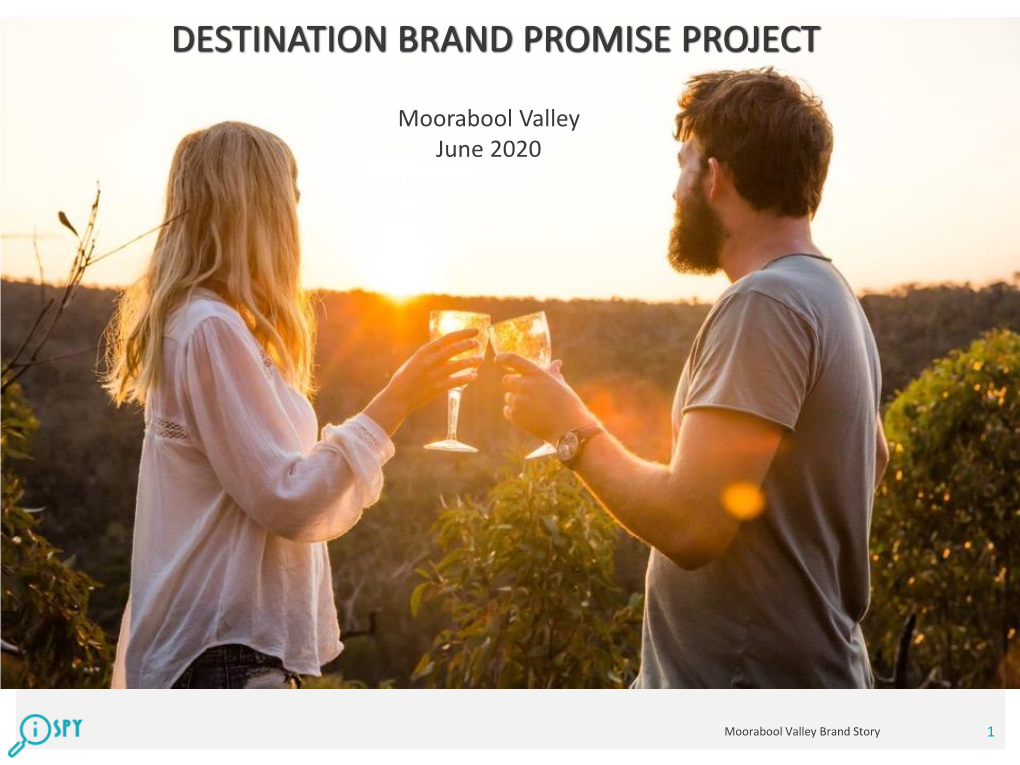 Destination Brand Promise Project Steps, Process