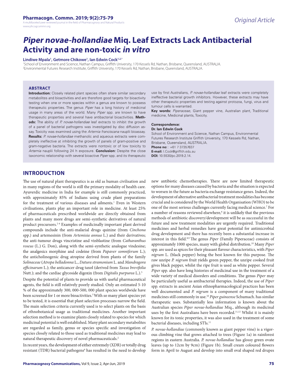 Piper Novae-Hollandiae Miq. Leaf Extracts Lack Antibacterial Activity