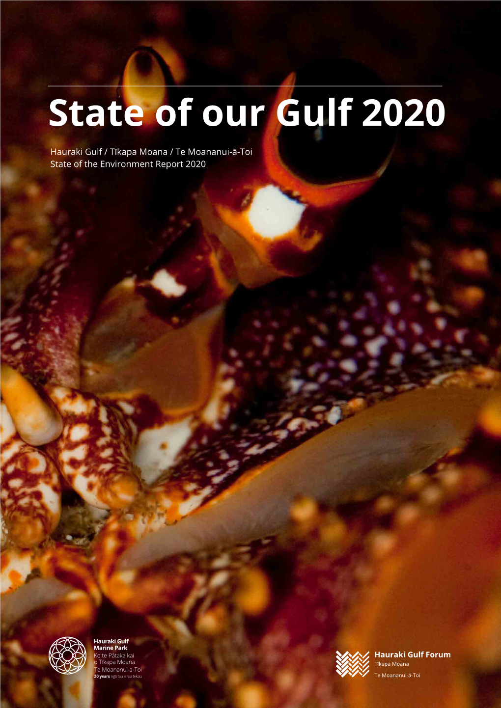 State of Our Gulf 2020