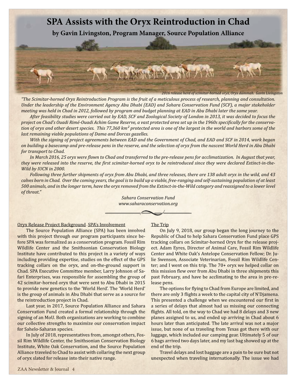 SPA Assists with the Oryx Reintroduction in Chad by Gavin Livingston, Program Manager, Source Population Alliance