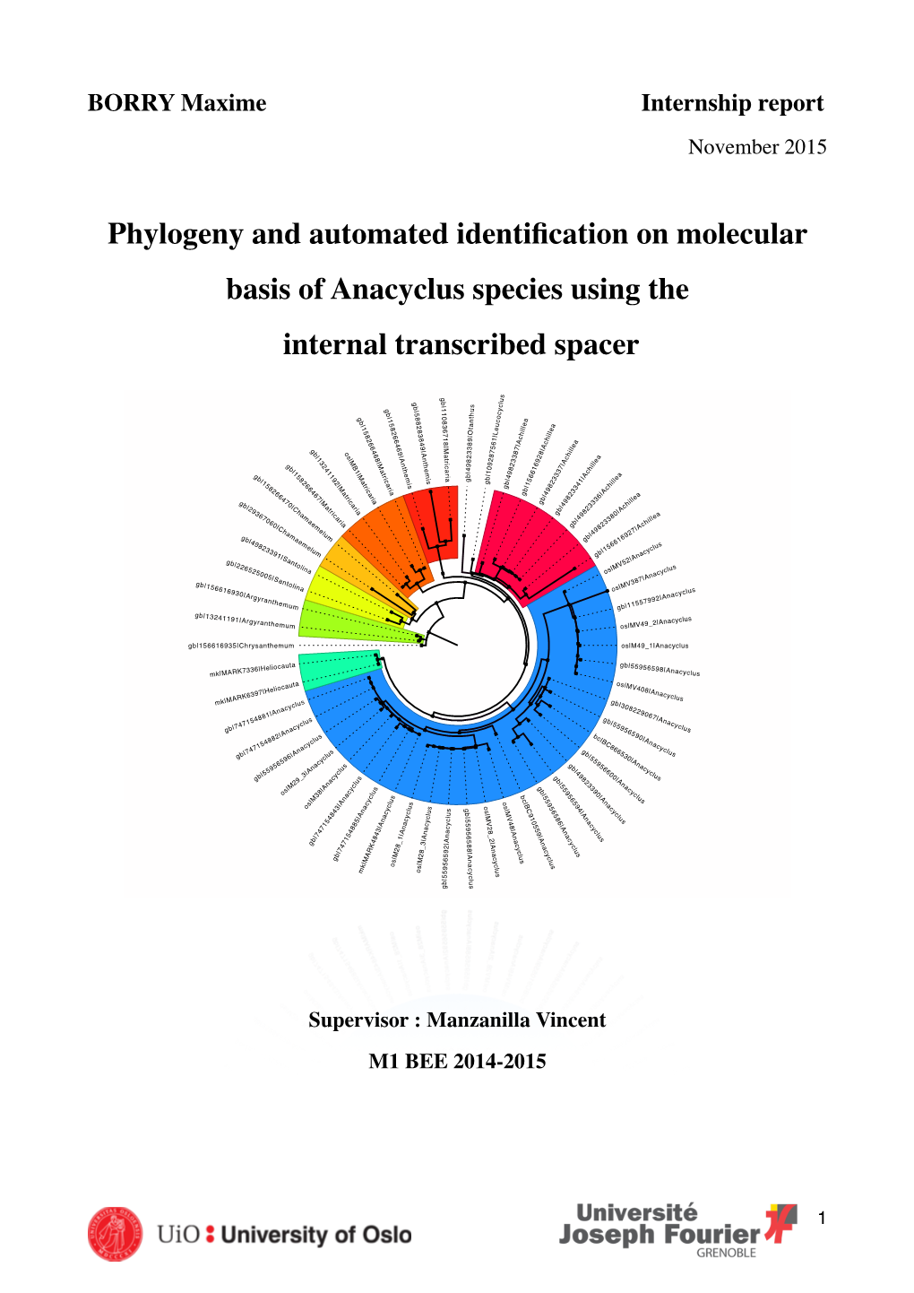 Phylogeny and Automated Identification on Molecular Basis Of