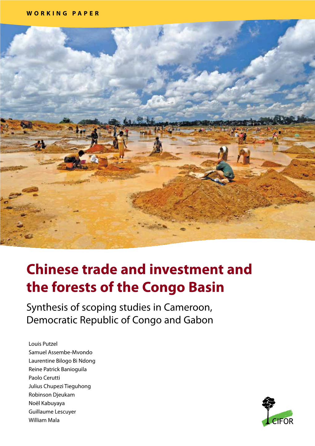 Chinese Trade and Investment and the Forests of the Congo Basin Synthesis of Scoping Studies in Cameroon, Democratic Republic of Congo and Gabon