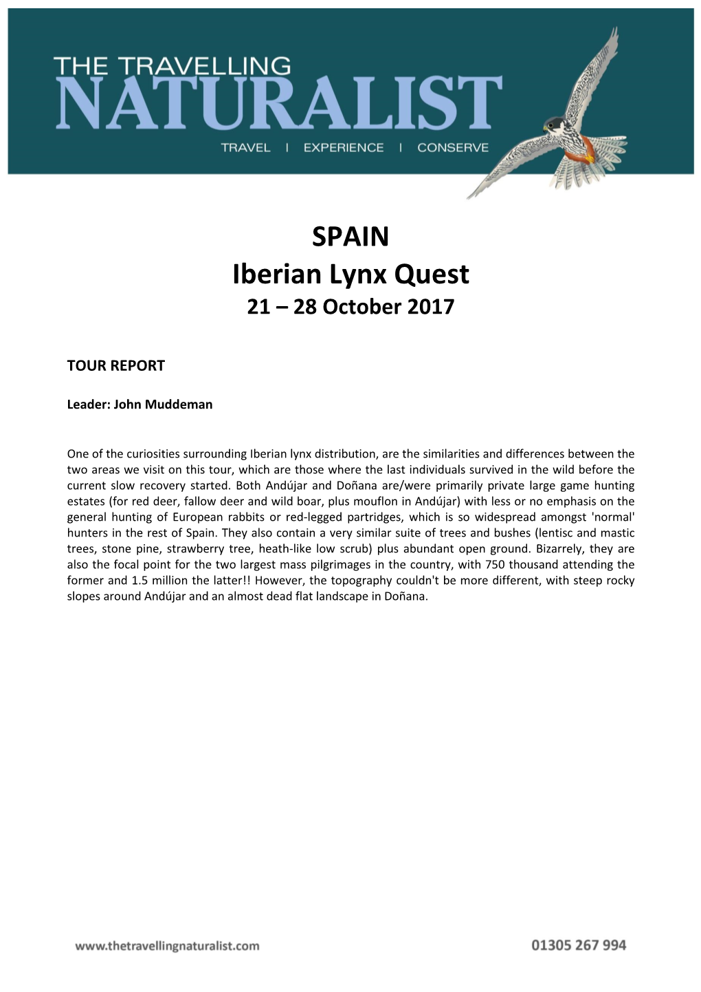 SPAIN Iberian Lynx Quest 21 – 28 October 2017