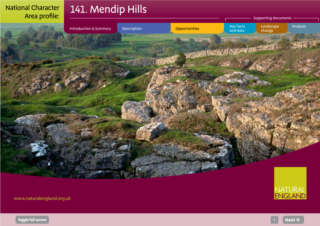 The Mendip Hills