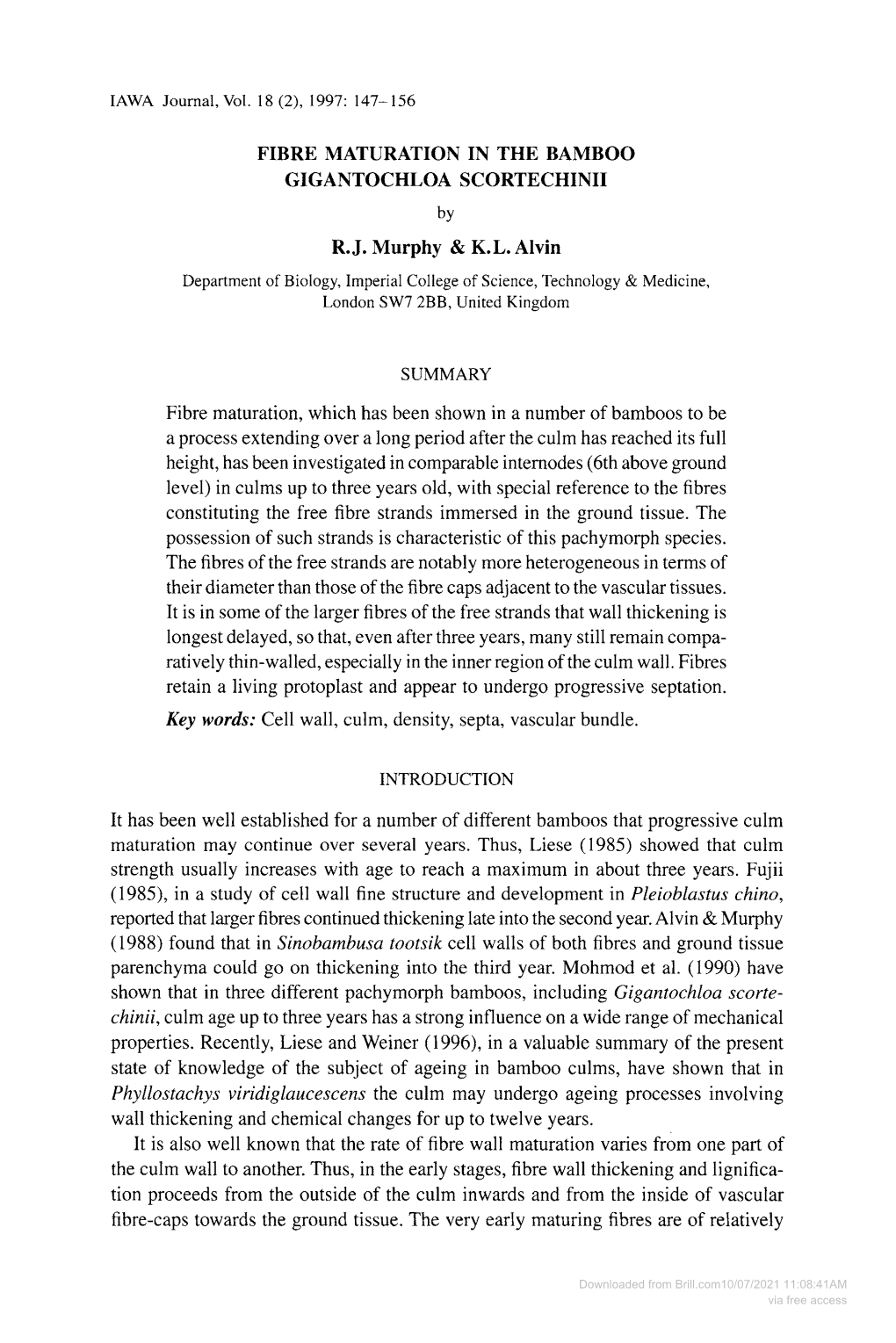 FIBRE MATURATION in the BAMBOO GIGANTOCHLOA SCORTECHINII by R.J