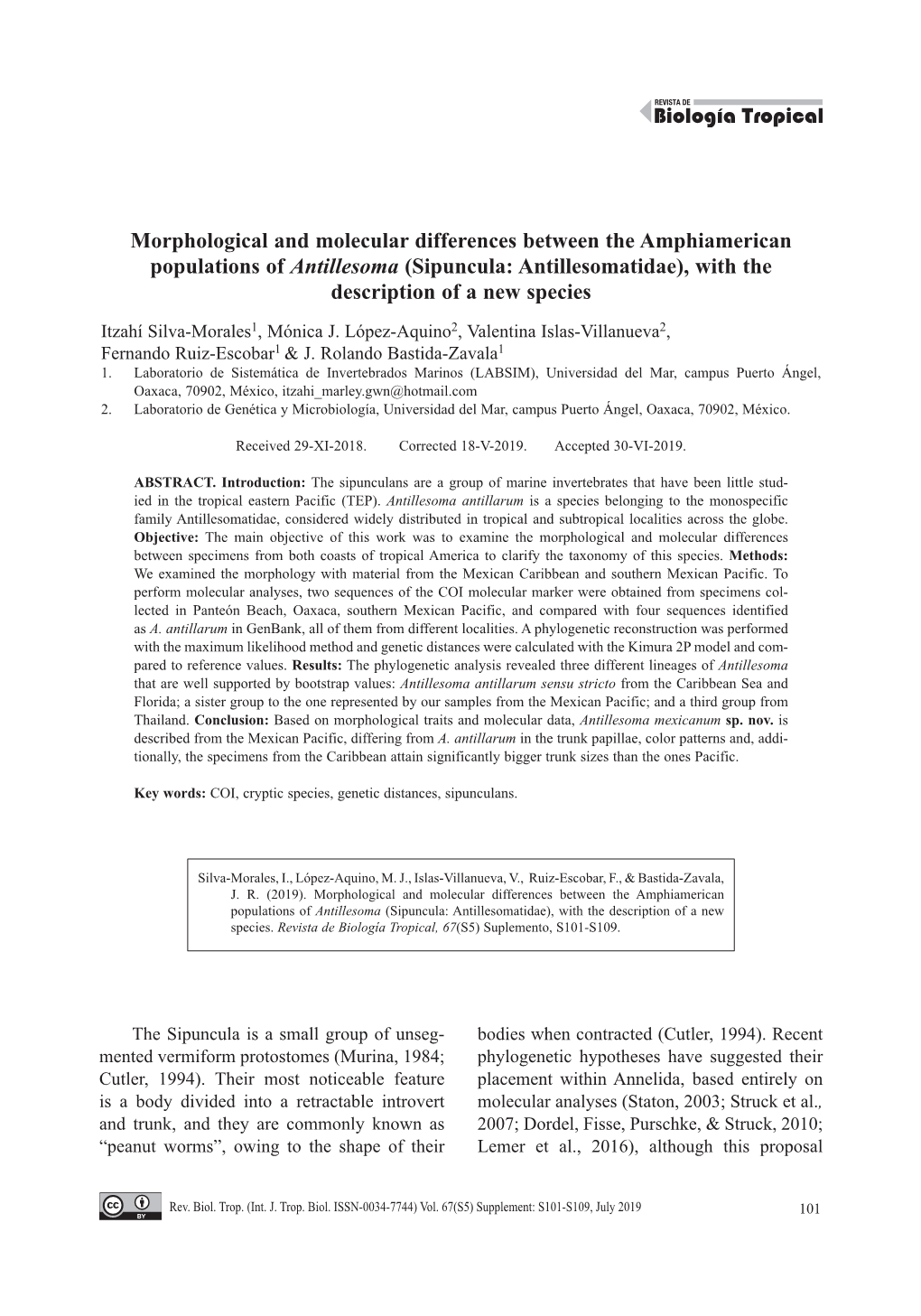 (Sipuncula: Antillesomatidae), with the Description of a New Species