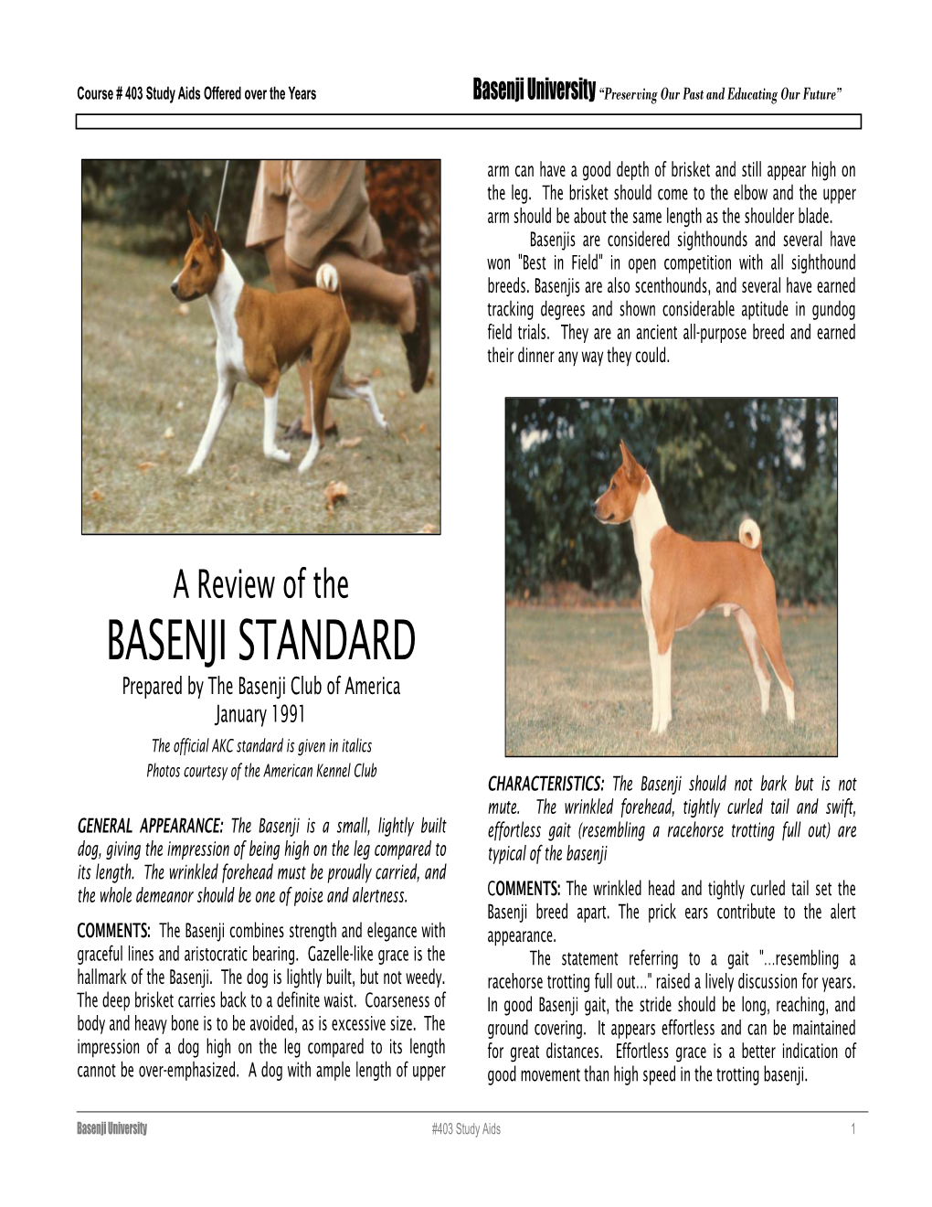 The Review of the Basenji Standard