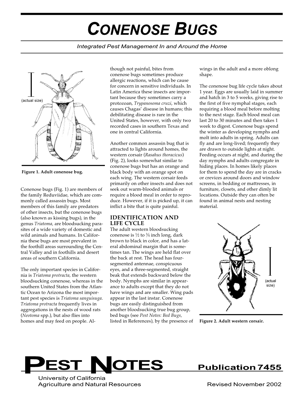 Conenose Bugs 10/02