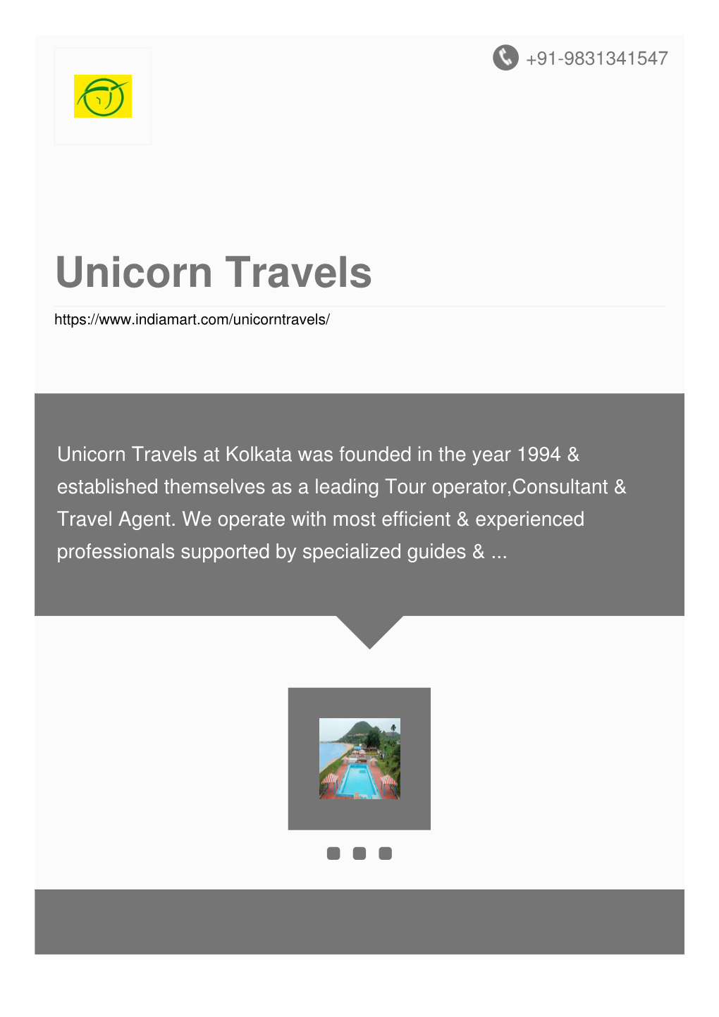 Unicorn Travels