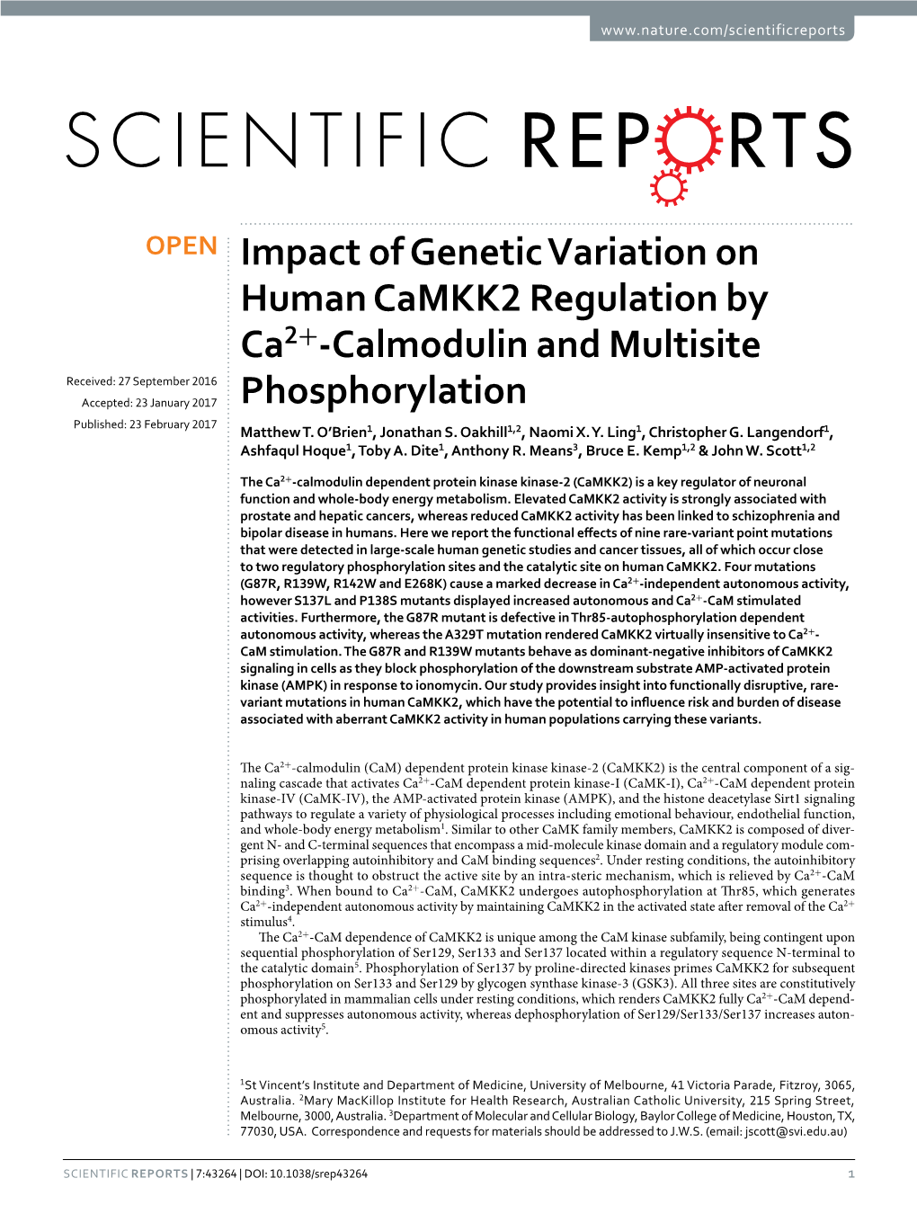 Impact of Genetic Variation on Human Camkk2