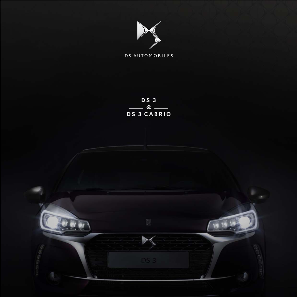 Ds3-Brochure-2018-Q4.Pdf