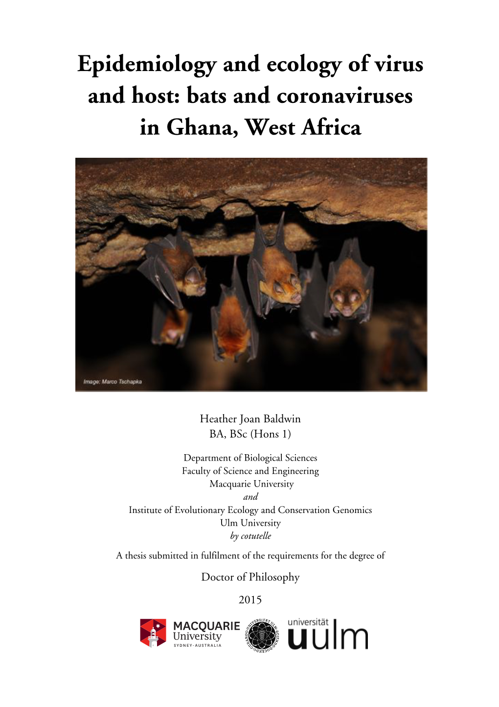 Epidemiology and Ecology of Virus and Host: Bats and Coronaviruses in Ghana, West Africa