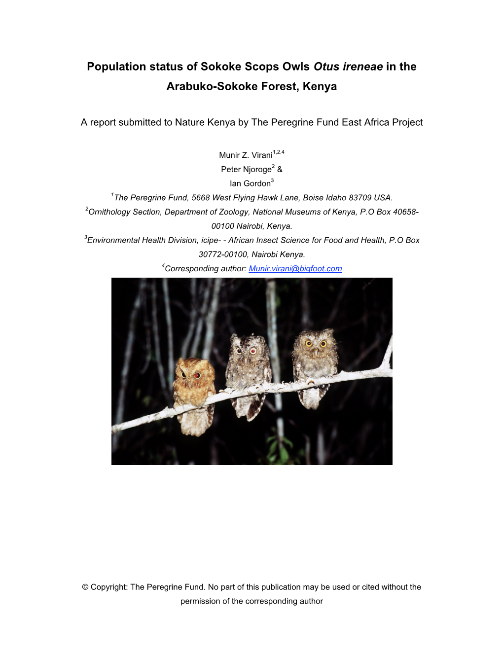 Population Status of Sokoke Scops Owls Otus Ireneae in the Arabuko-Sokoke Forest, Kenya