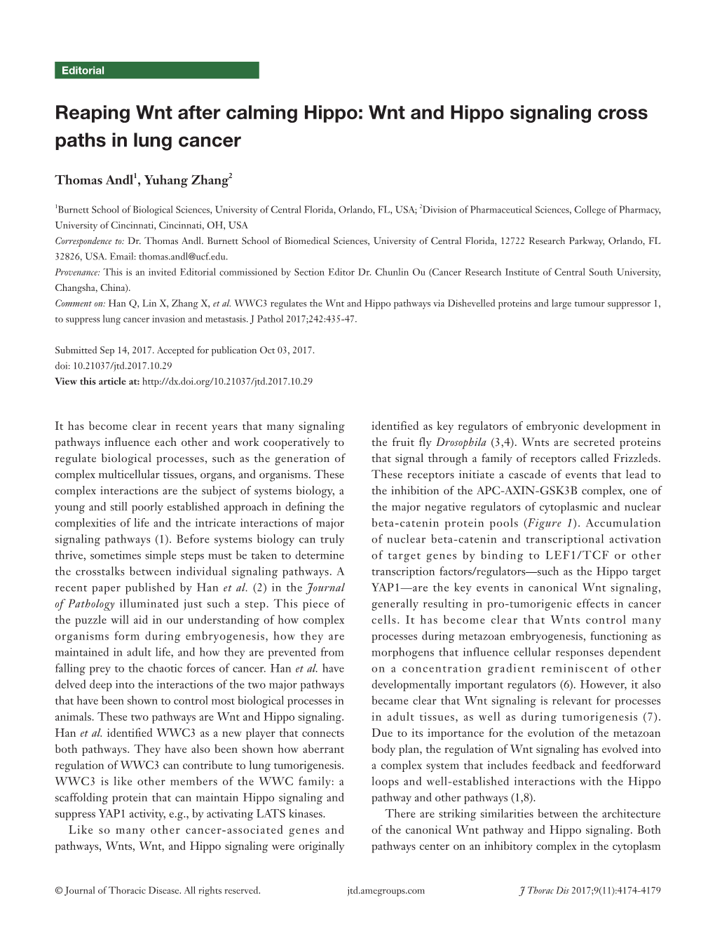 Wnt and Hippo Signaling Cross Paths in Lung Cancer