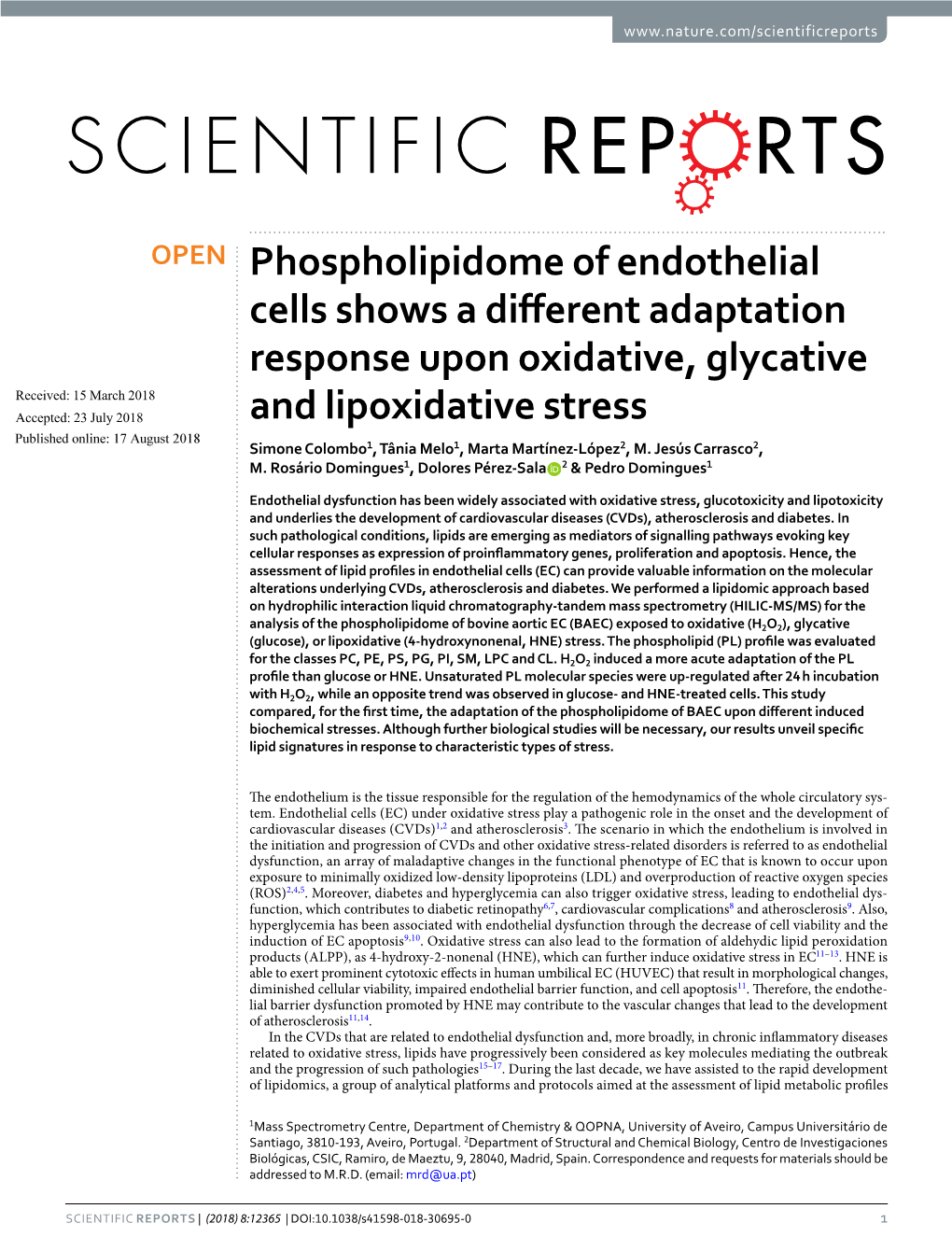 Phospholipidome of Endothelial Cells Shows a Different Adaptation Response Upon Oxidative, Glycative and Lipoxidative Stress